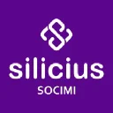 Silicius Real Estate Socimi S.A. Logo