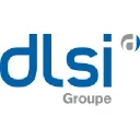 D.L.S.I. Logo