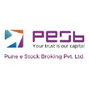 Pune E-Stock Broking Ltd. Logo