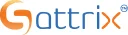 Satrix Information Security Logo