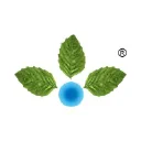 Anupam Rasayan India Ltd. Logo