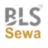 BLS E-Services Ltd. Logo