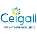 Ceigall India Ltd. Logo