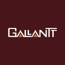 Gallantt Ispat Ltd. Logo