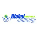 Global Vectra Logo