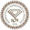 International Logo