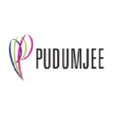 Pudumjee Paper Products Ltd. Logo
