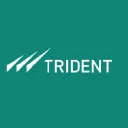 Trident Ltd. Logo