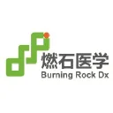 Burning Rock Biotech Logo