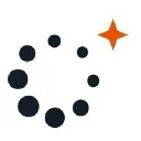 Cellebrite DI Logo