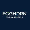 Foghorn Therapeutics Logo