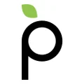 Plum Acquisition Corp IV Logo