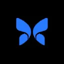 Butterfly Network Logo