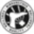 Birkenstock Holding plc Logo