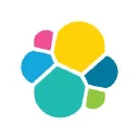 Elastic N.V Logo