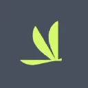 Volato Logo