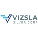 Vizsla Silver Logo